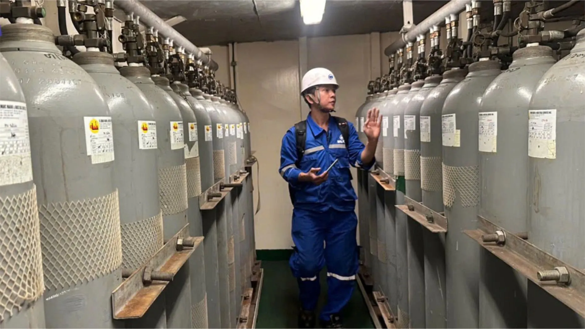 Dịch vụ LSA, FFE