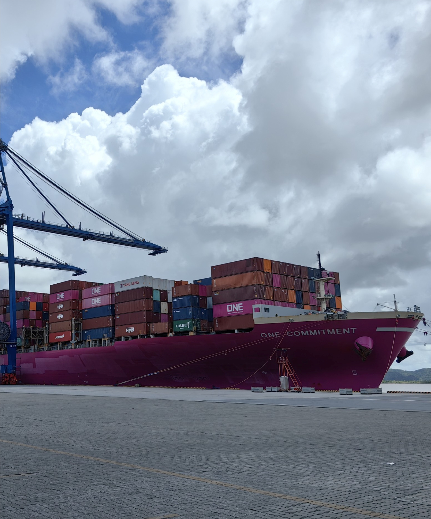 MV ONE COMMITENT: Underwater fishing net cutting